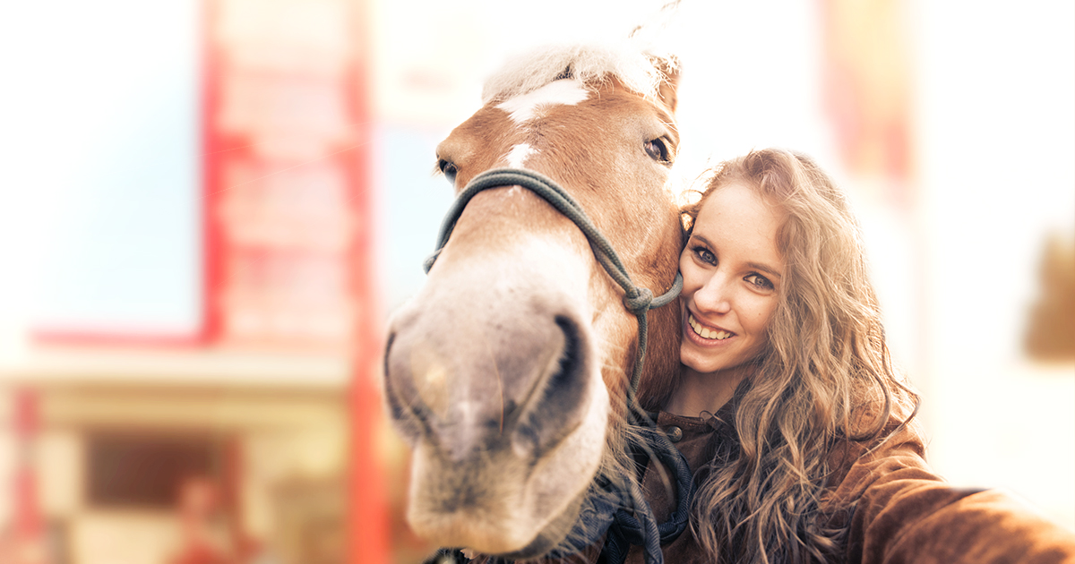 Pferde beim Boxenstopp ©ORLEN Deutschland.jpg